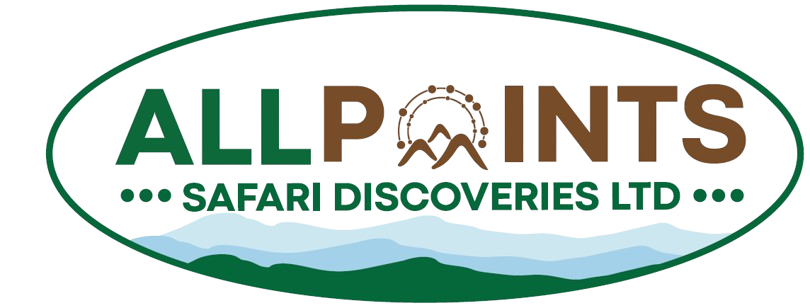 Allpoint Safaris logo